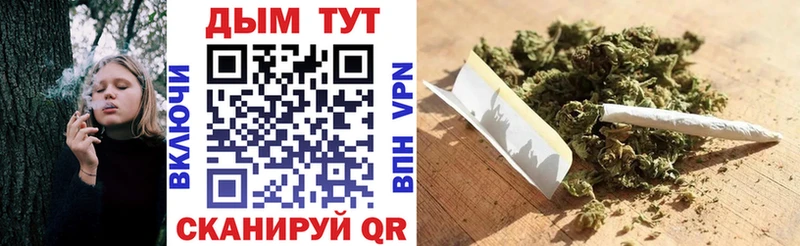 Бошки Шишки AK-47  купить наркотики сайты  Зверево 